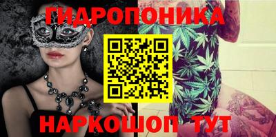гидра Партизанск